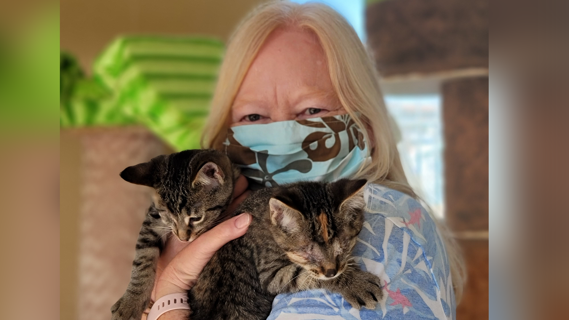 Blind kittens adopted_1.png