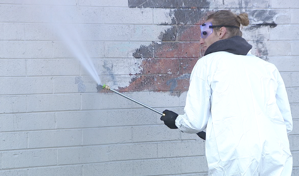 hhm murals web.png