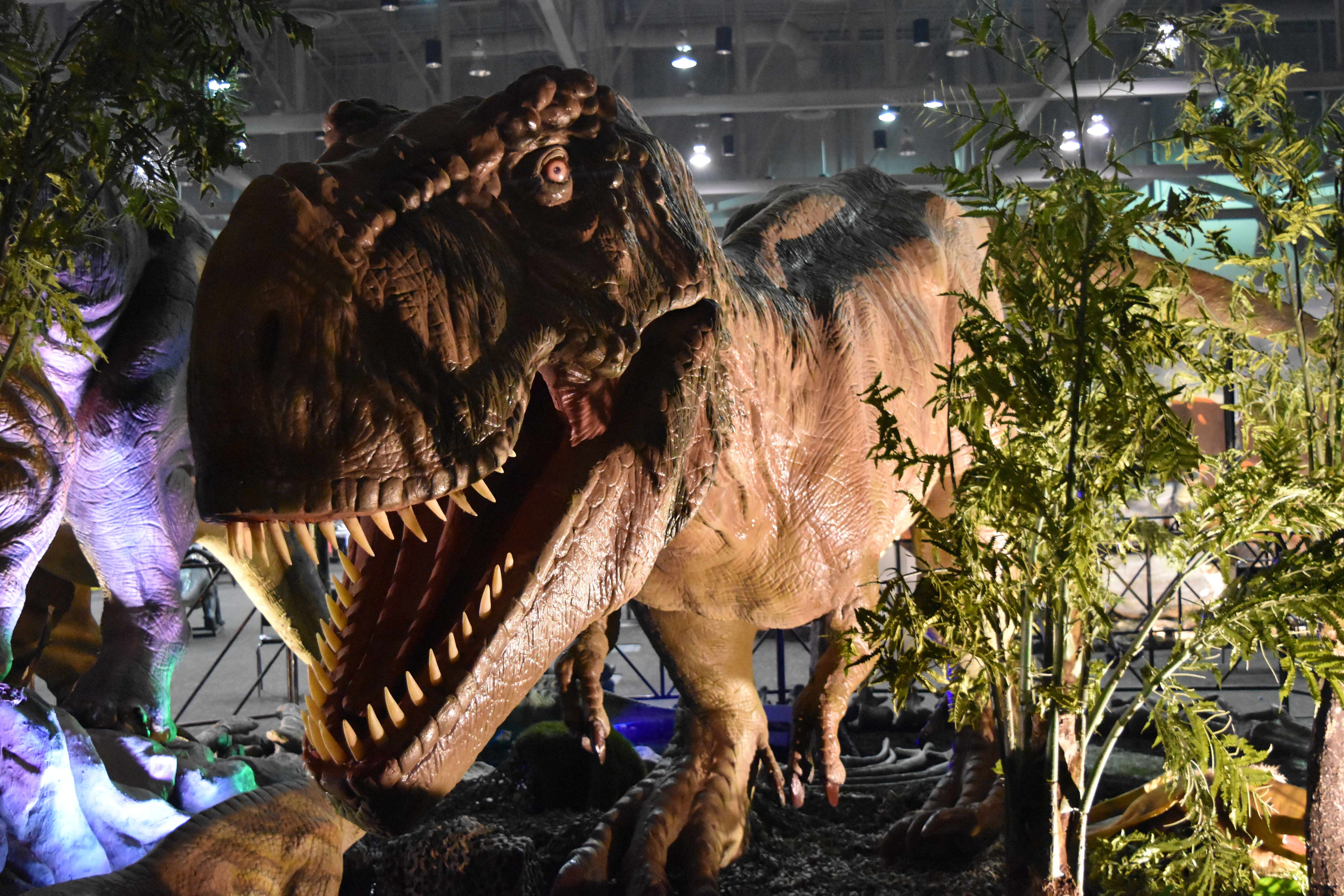 Exhibit Dino close up.JPG
