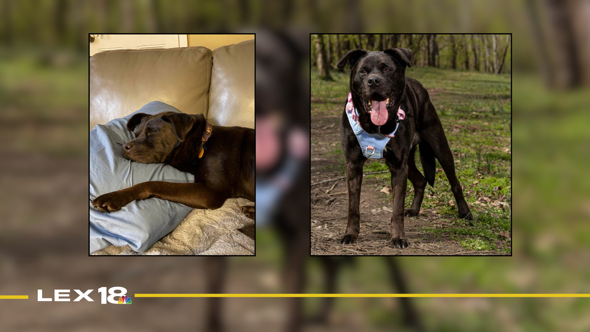 Featured Image Custom Edit (27).png