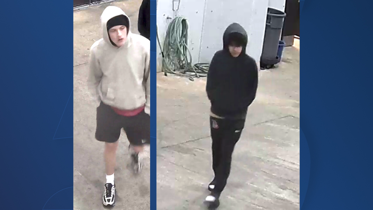 MTSU police seek help after baseball clubhouse burglary