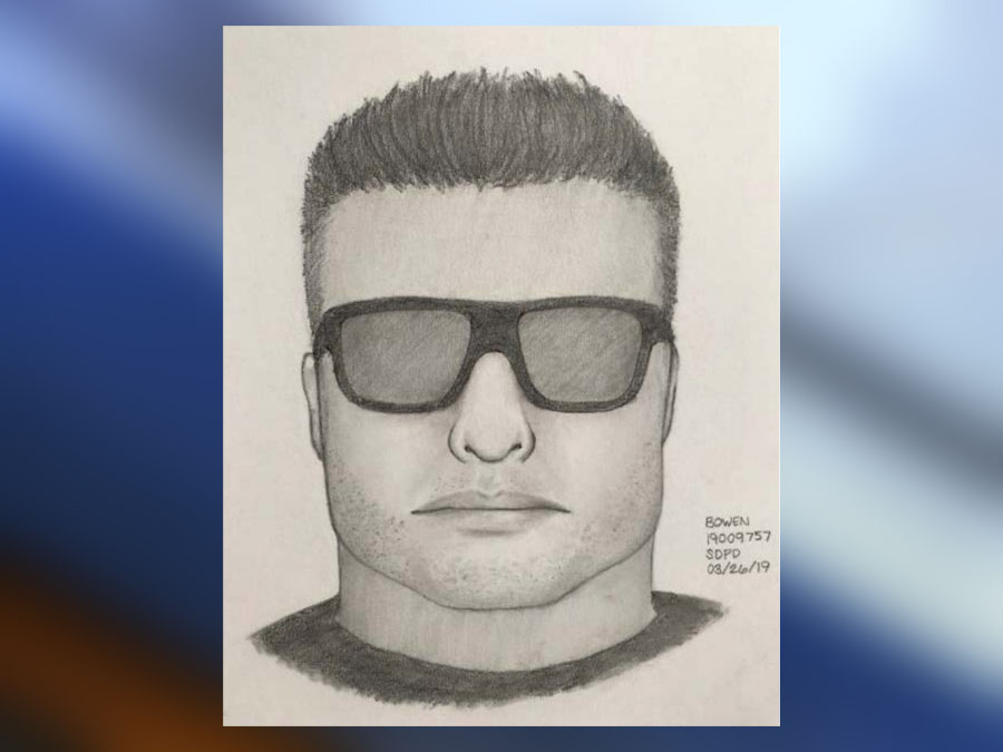 fashion valley mall carjacking.jpg