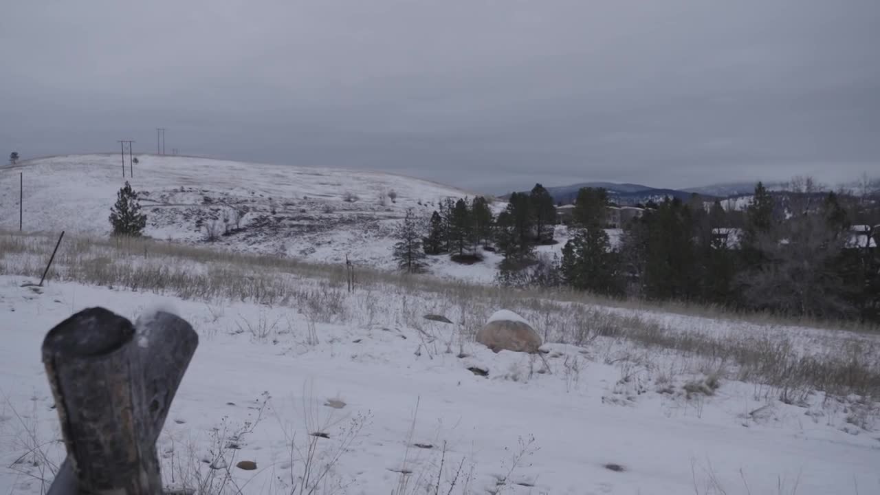 Rattlesnake Development 