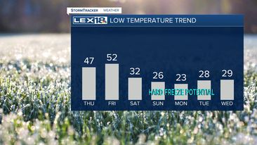 low temperature trend