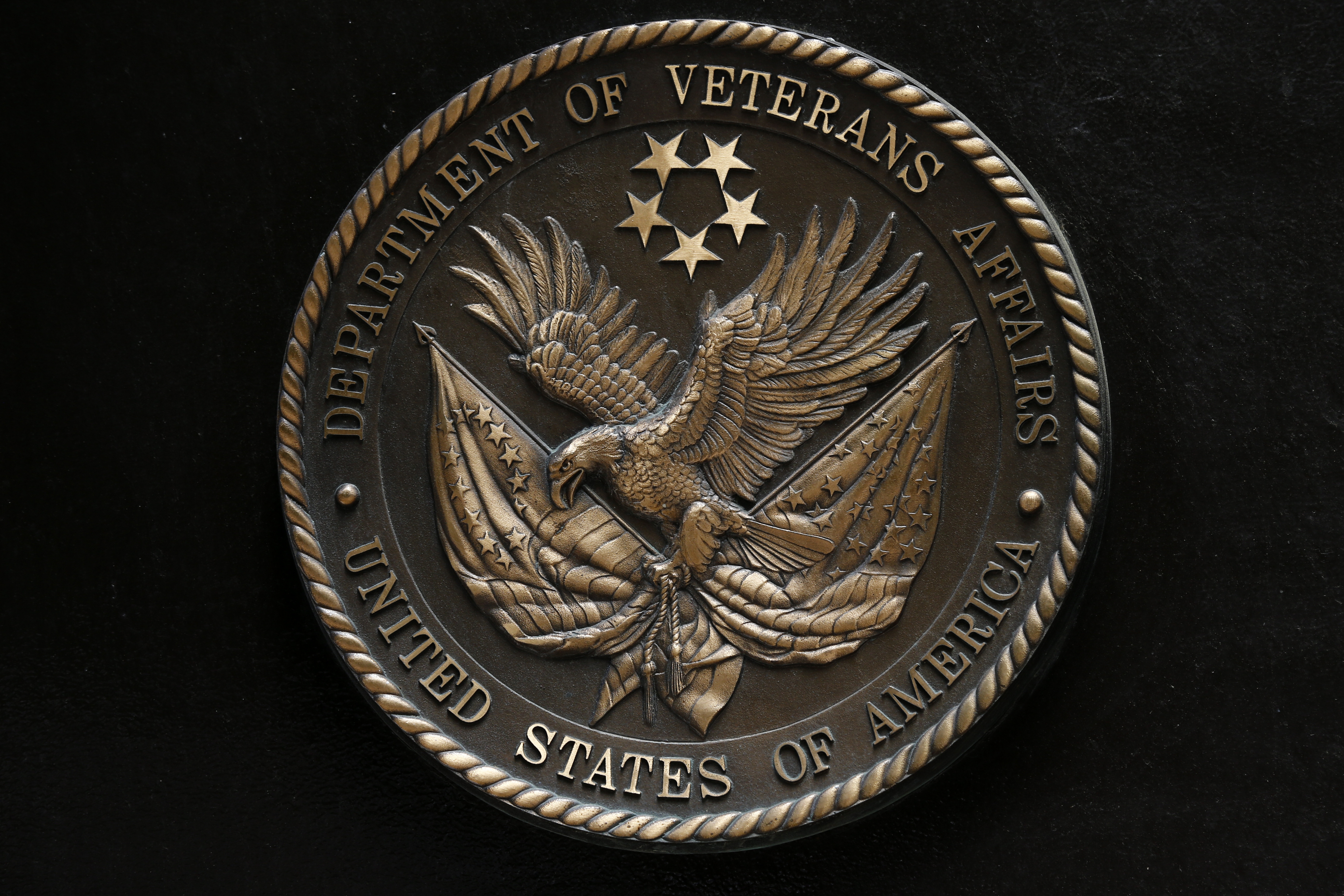 Department of Veterans Affairs