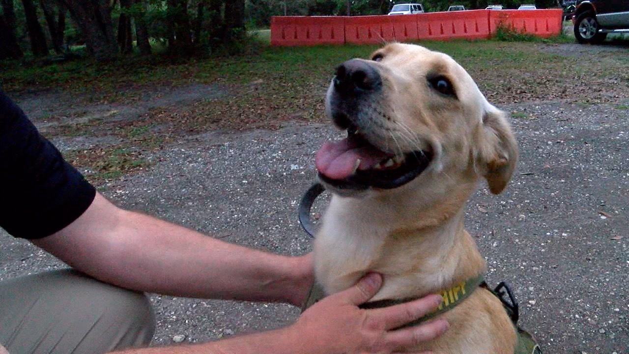 Pasco K9 with cancer