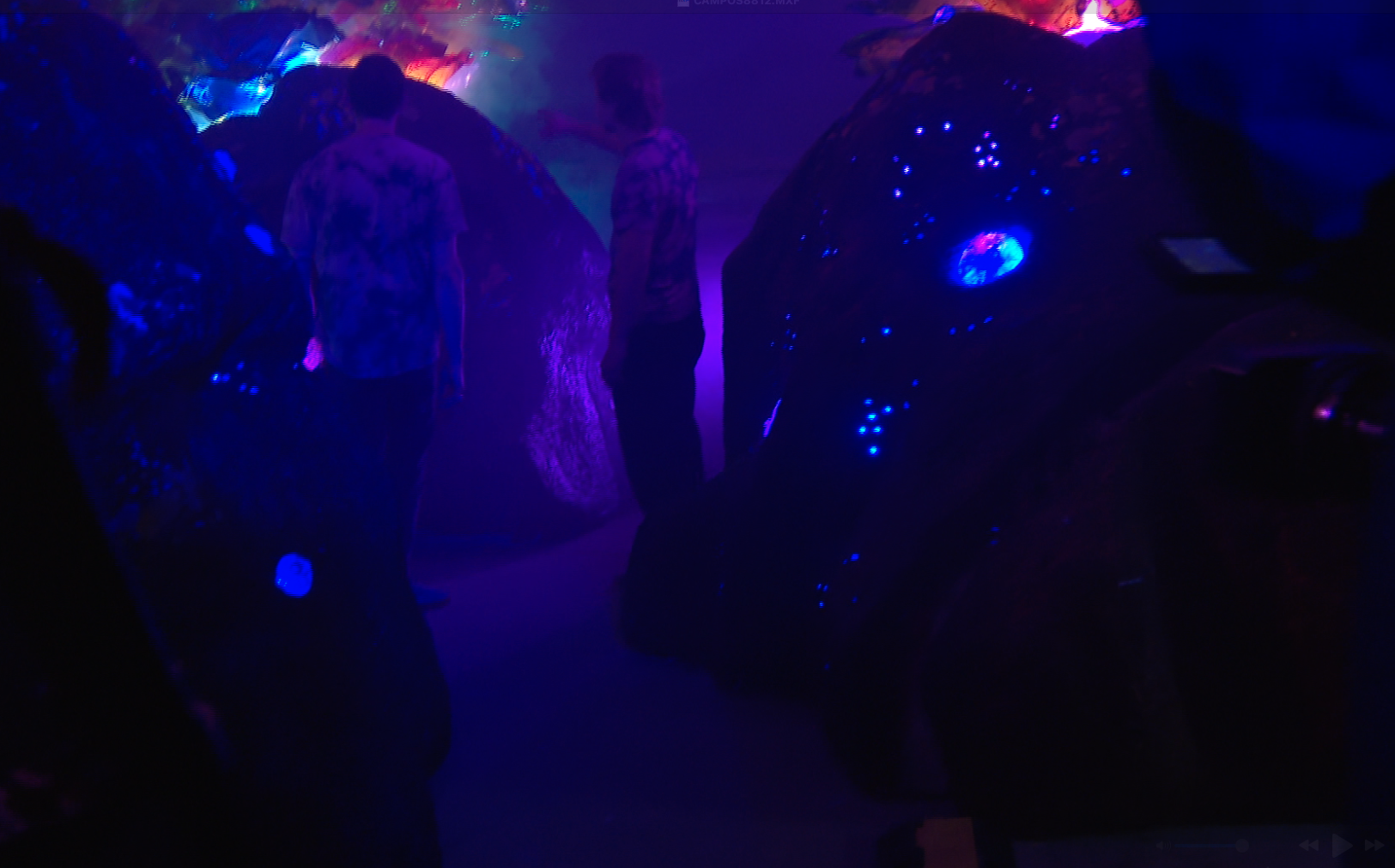 'Radiant Echoes' immersive art at Summerfest