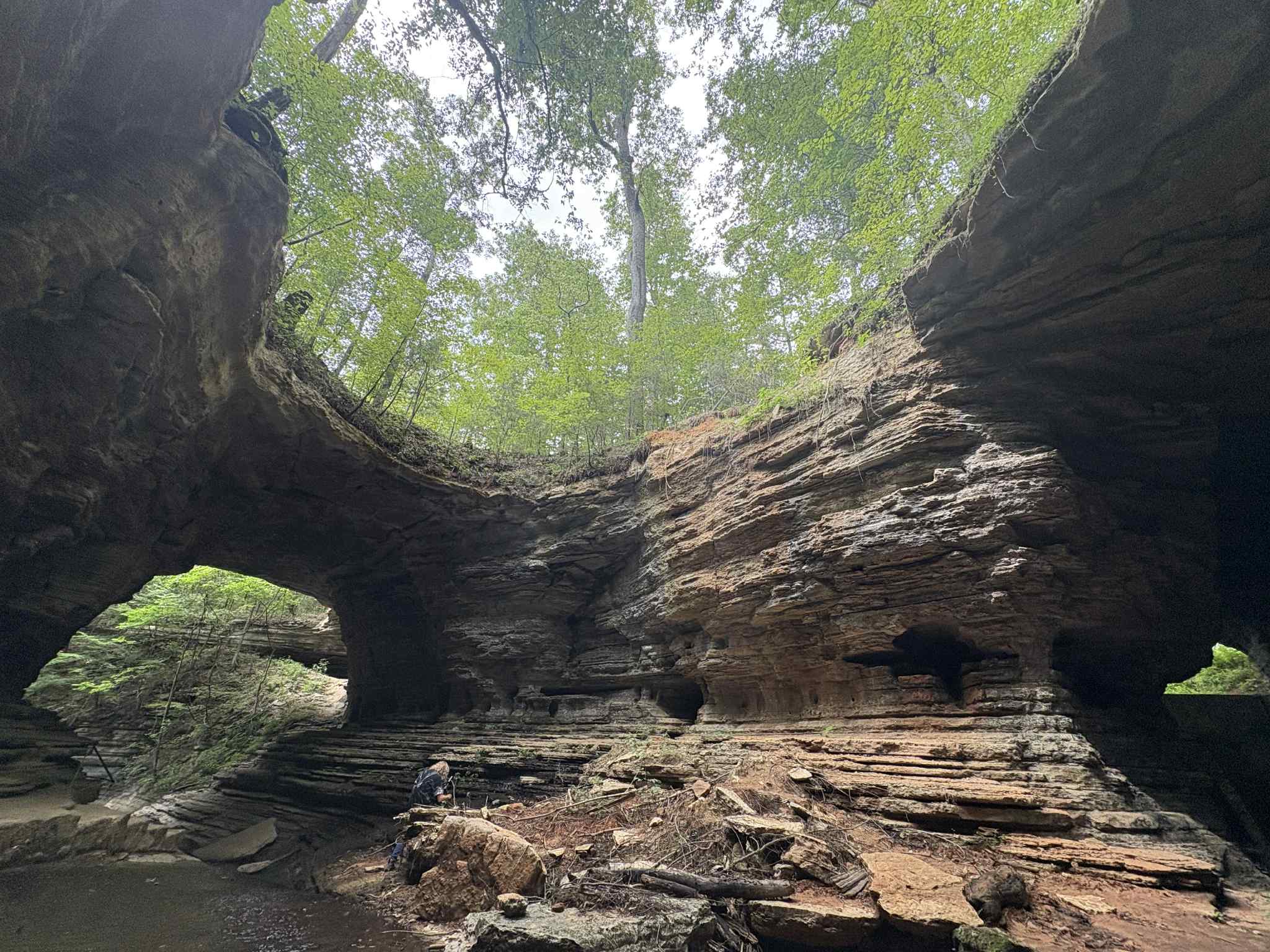 The Bridges in Waynesboro
