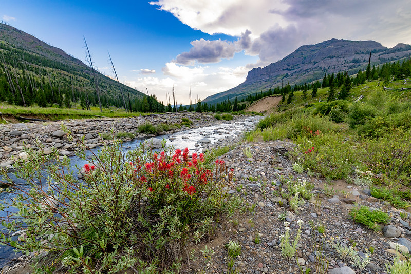 cache creek ynp