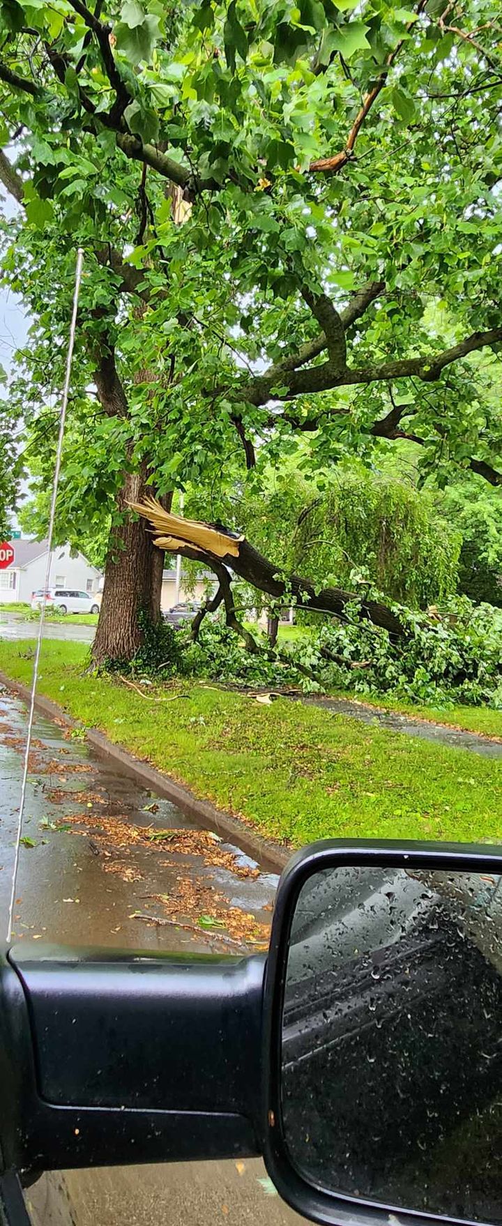 Joe Collins Meadowthorp storm 1.jpg