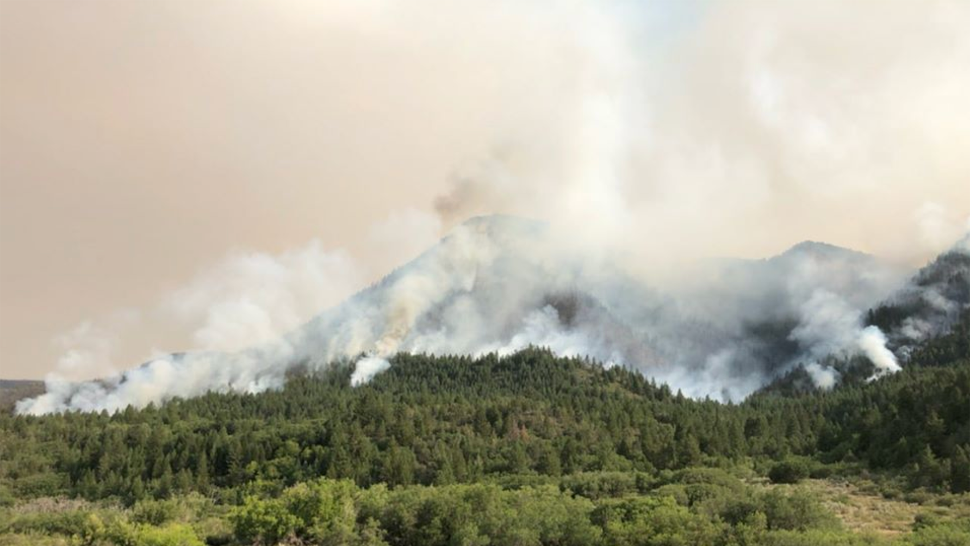 pinegulchfire-saturday-aug15.png