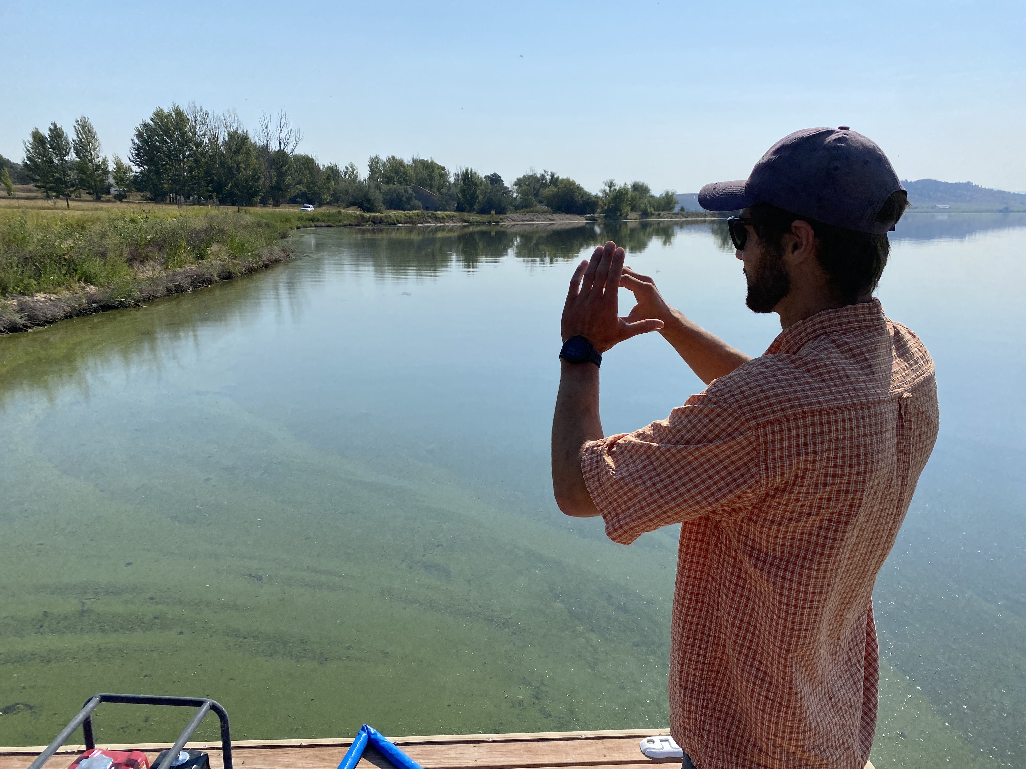 Lake Helena Restoration