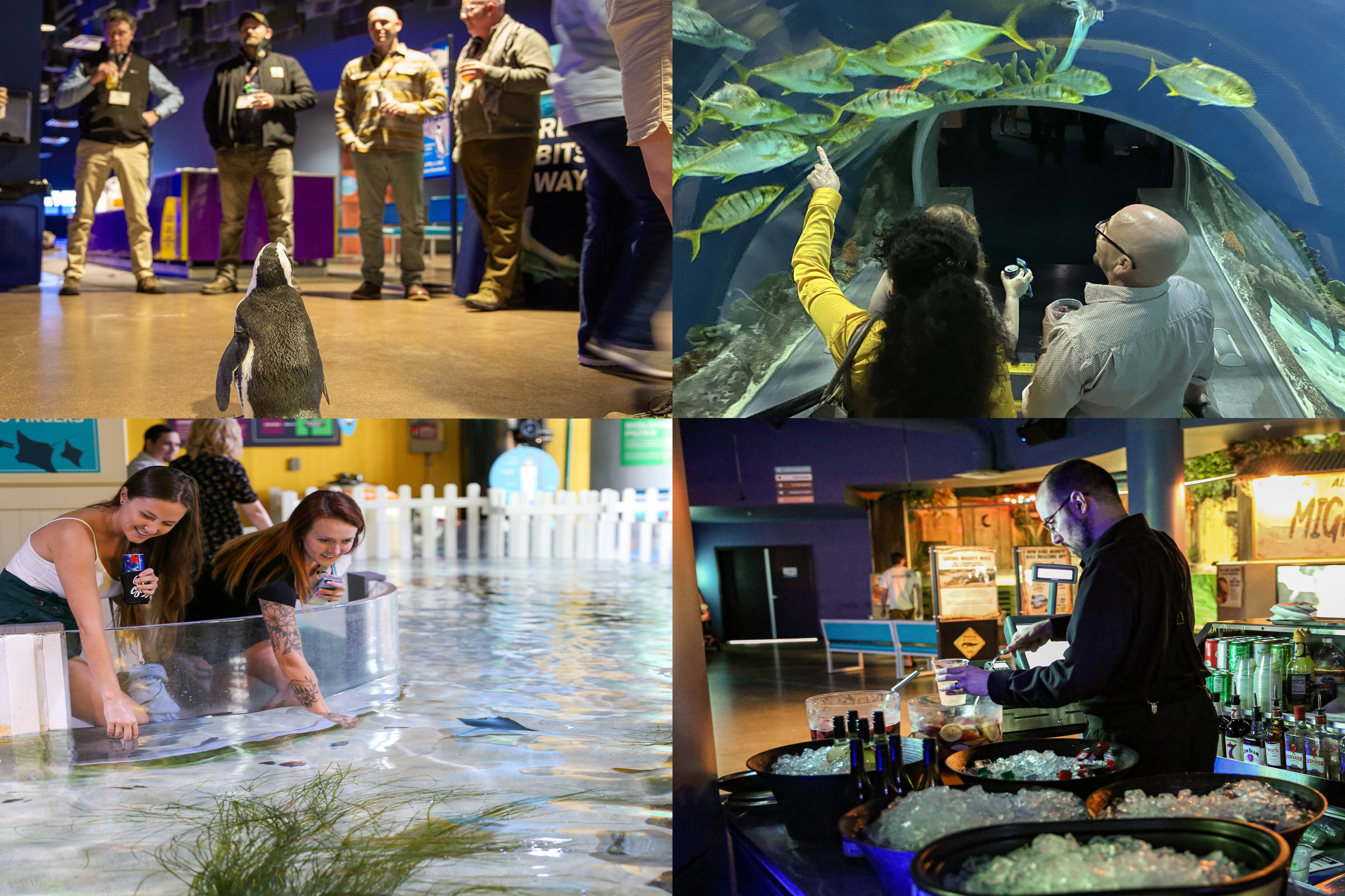 ‘Fish & Sips’ Happy Hour at the OdySea Aquarium (OdySea)