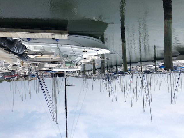 sailboats in marina.jpg