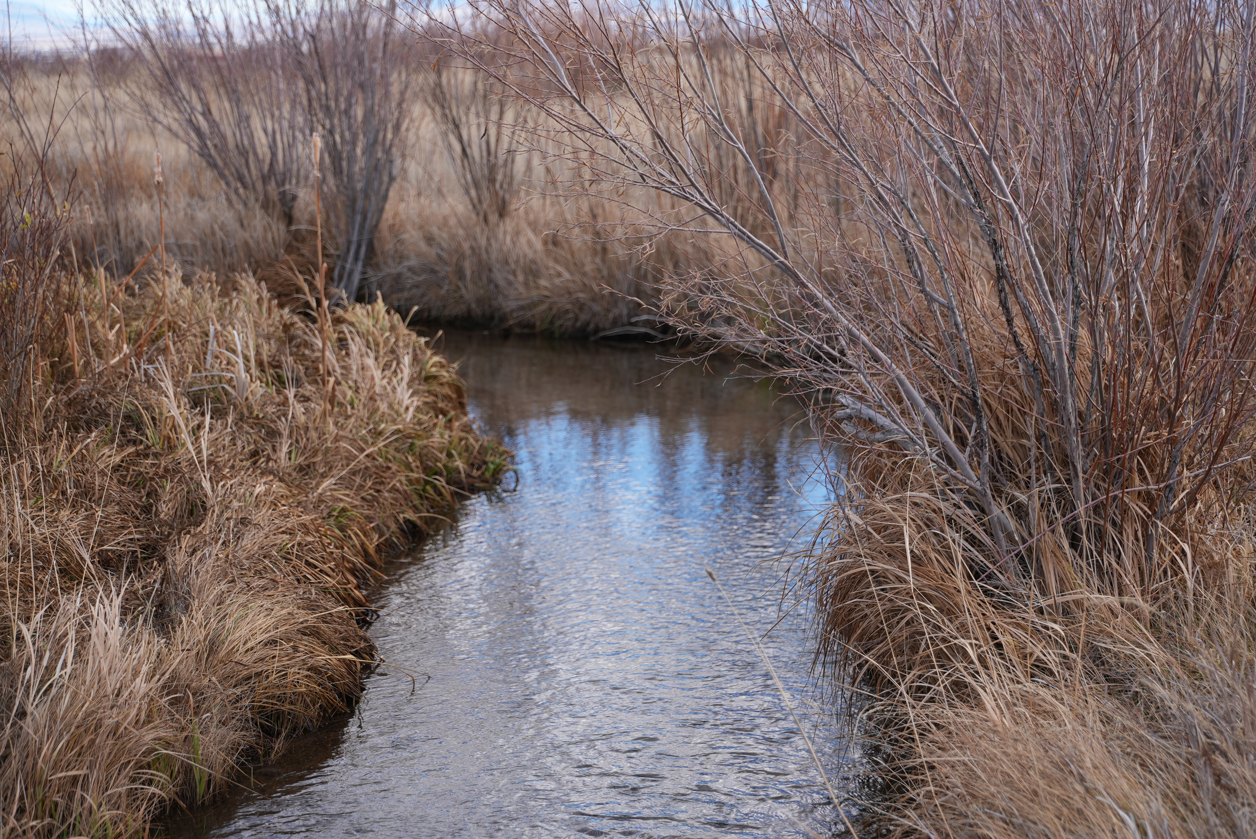 Sevenmile Creek