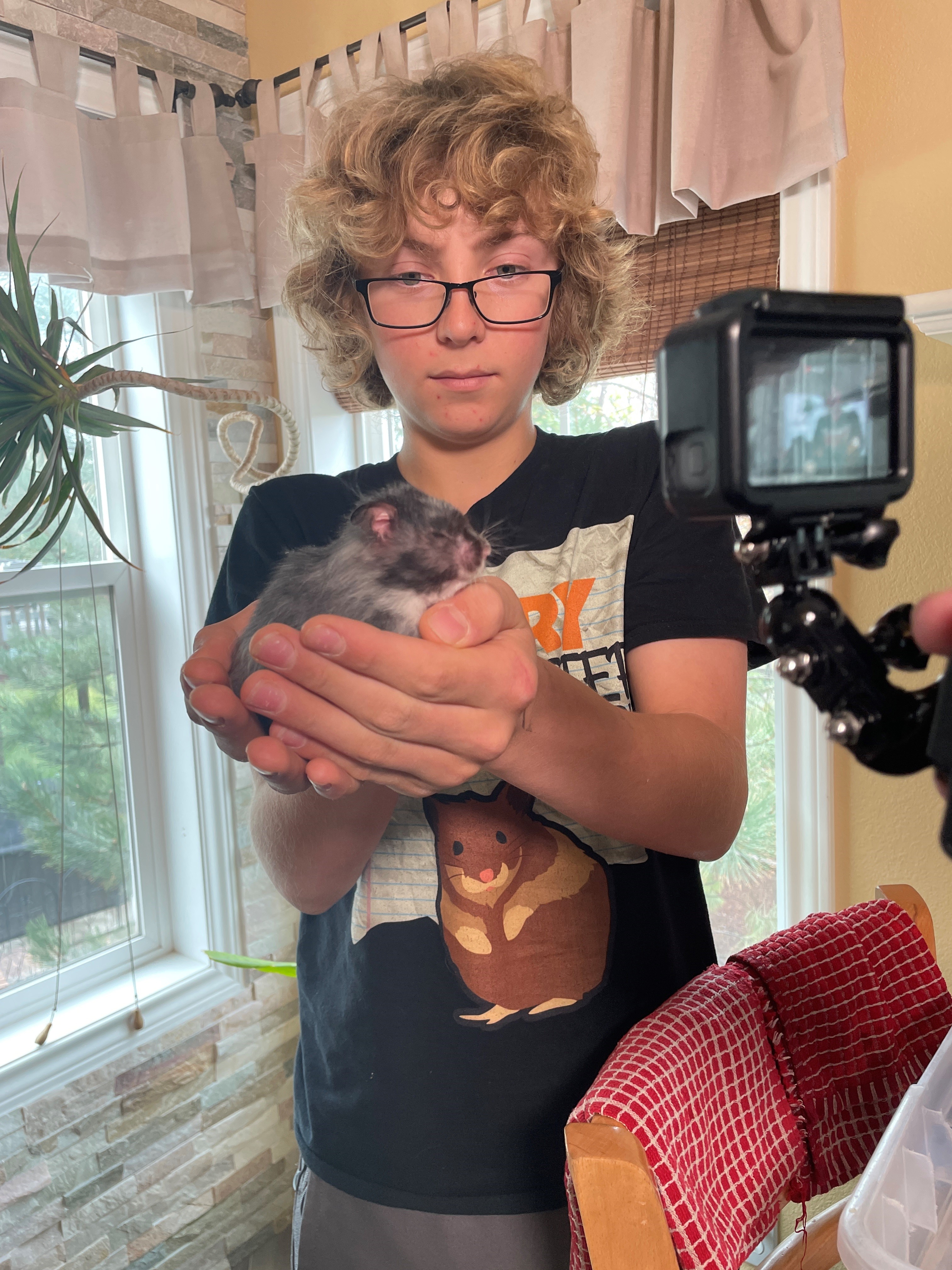 Gretta's Hamster Rescue