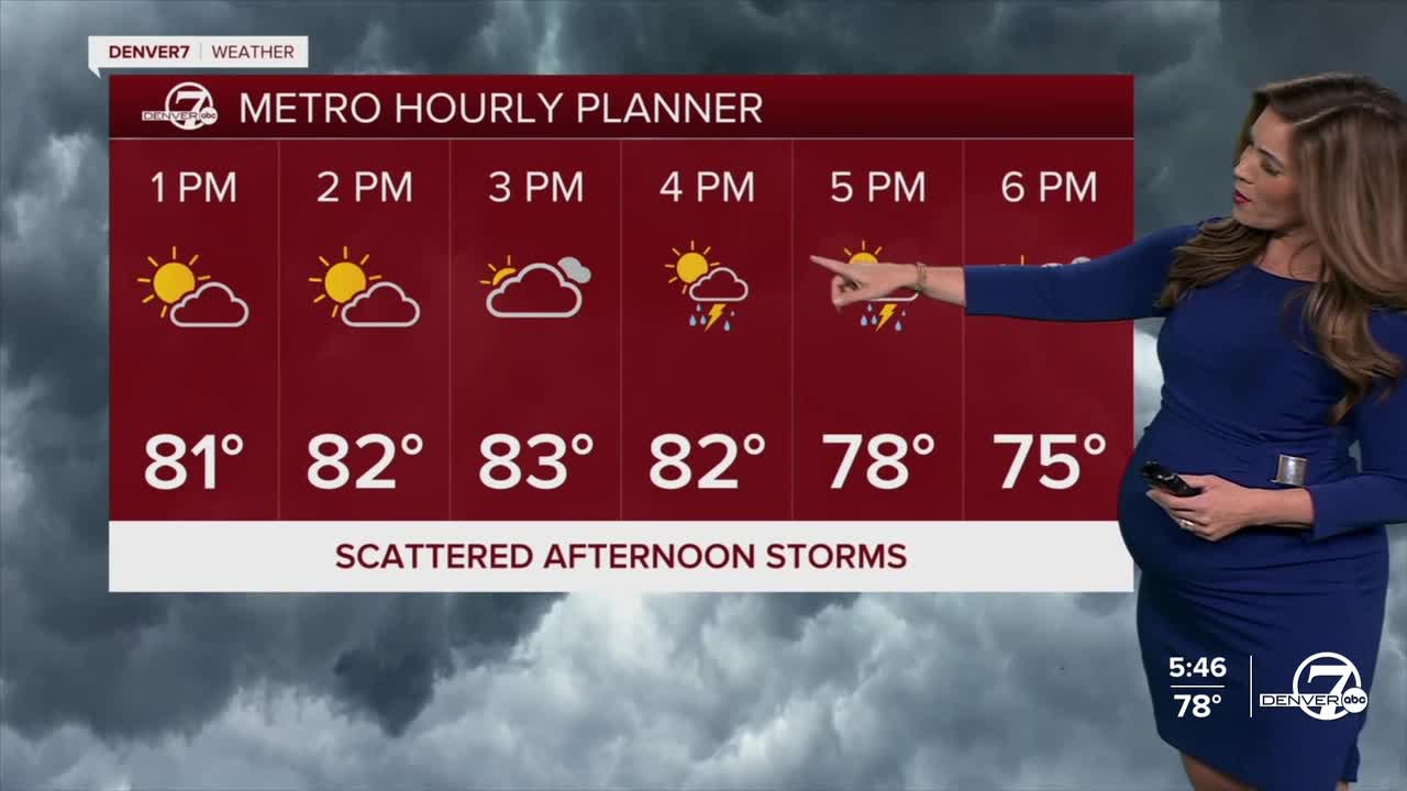 Denver's Hourly Planner for Thursday