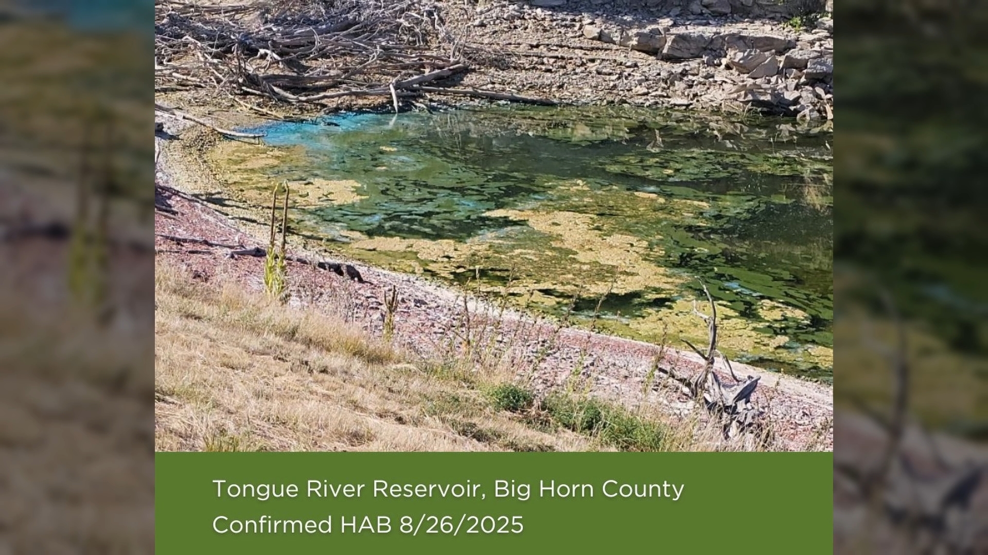 Still 2025-09-28 164606_2.7.1.jpg