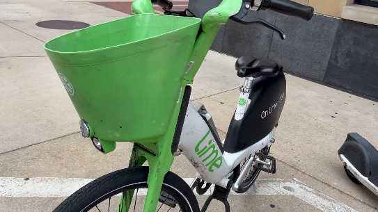 lime 2.png