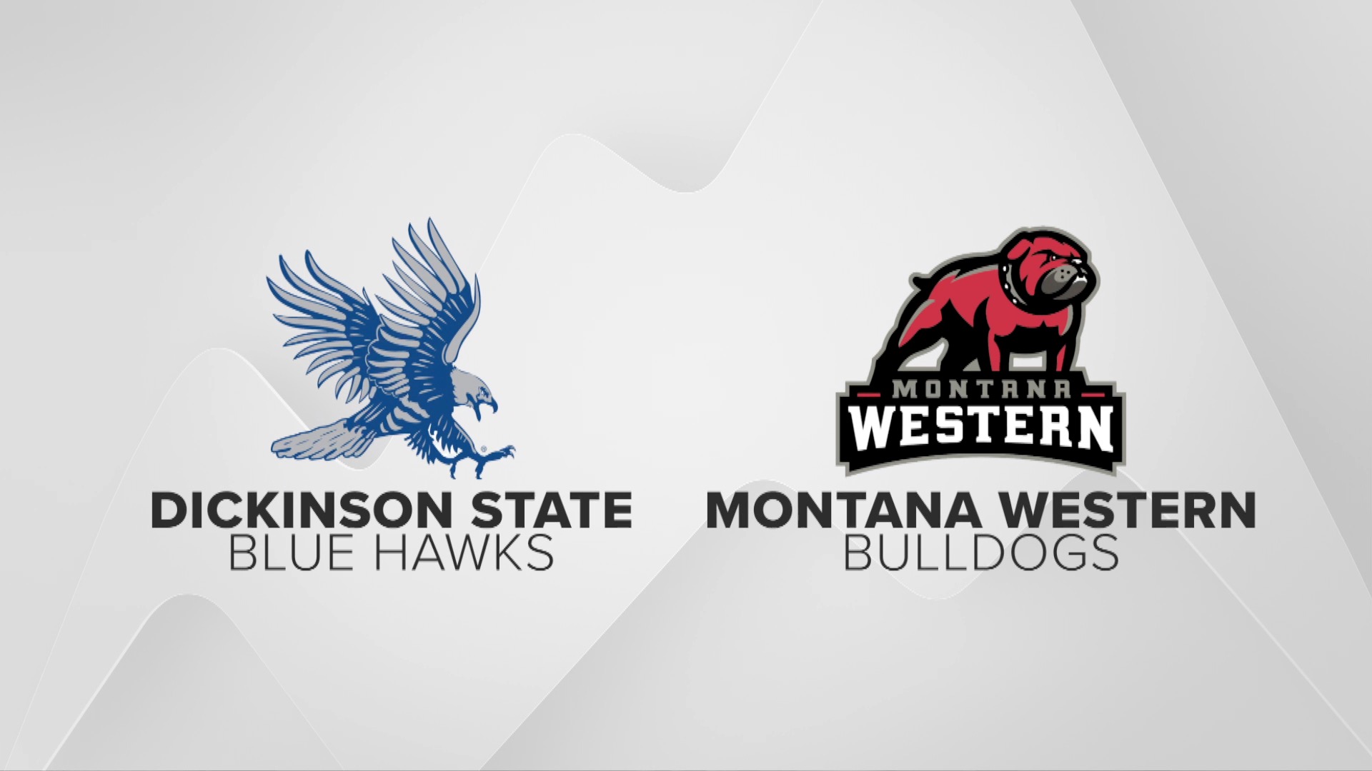 Western DSU 