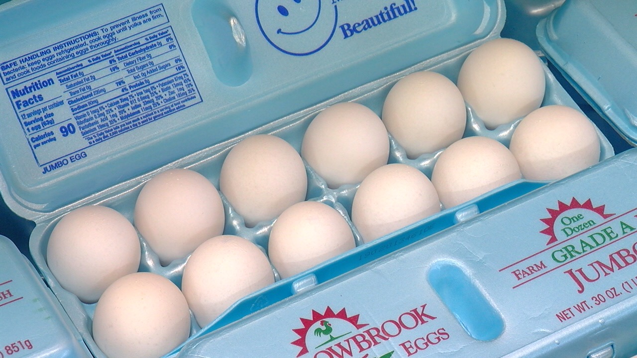 JUMBO EGGS.jpg