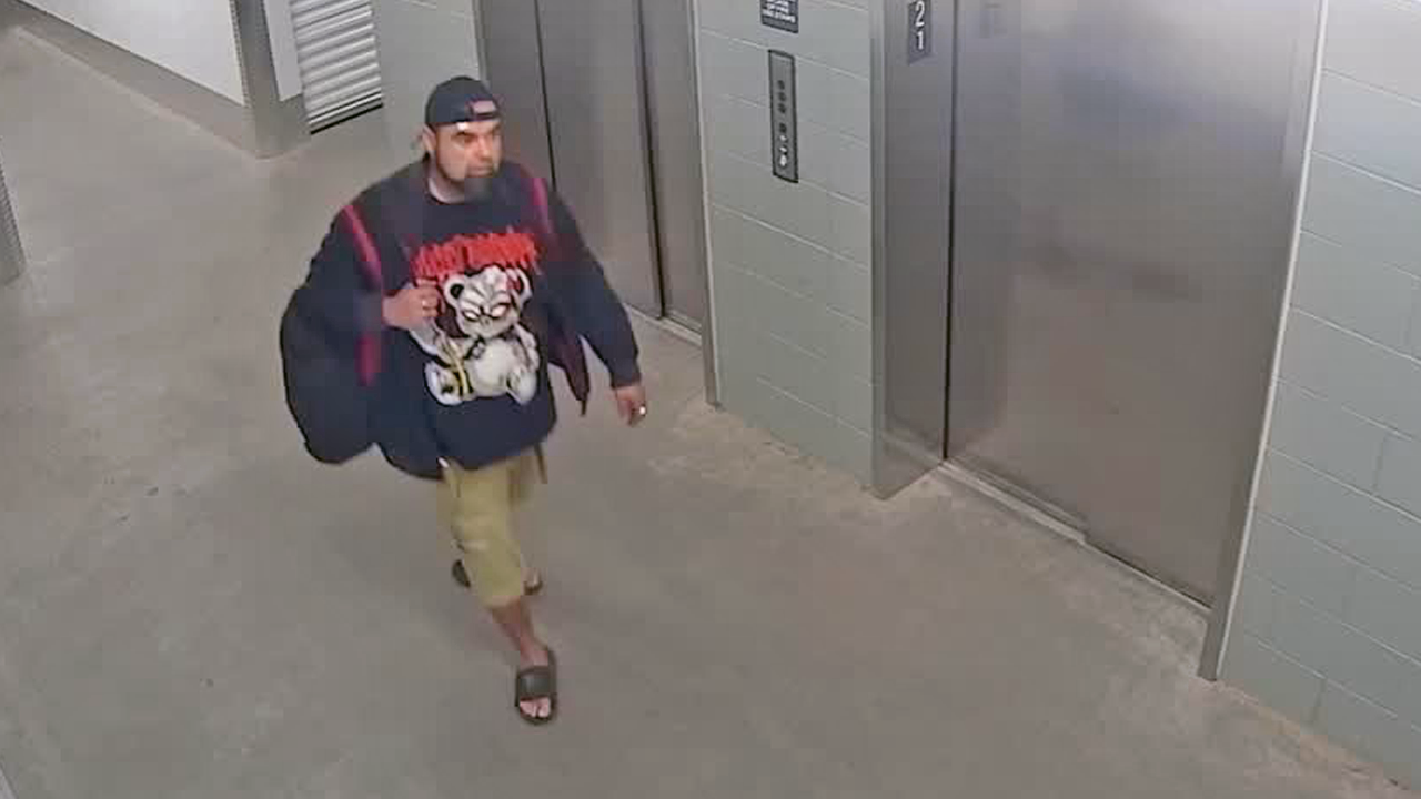storage thief.png