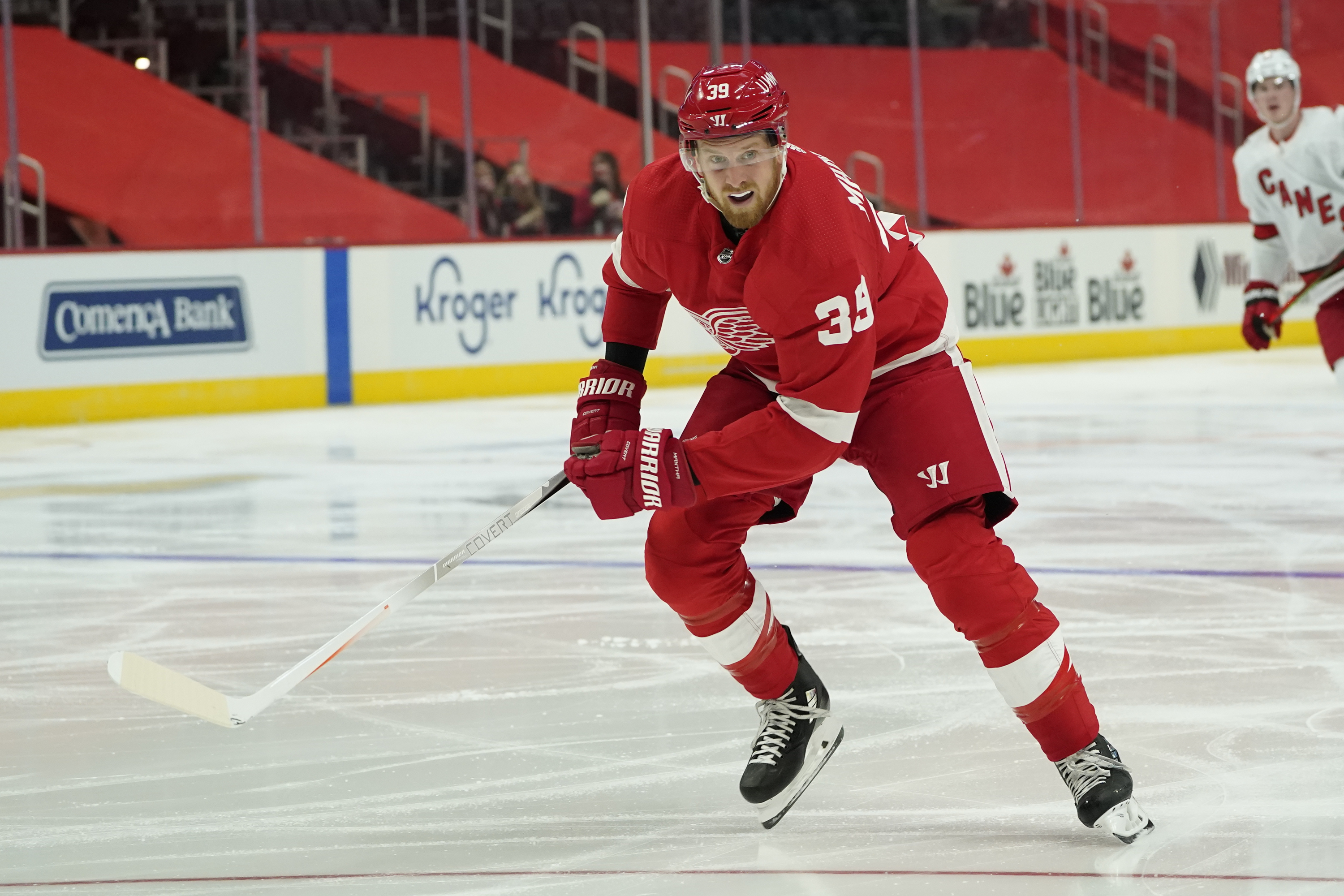 Anthony Mantha Hurricanes Red Wings Hockey