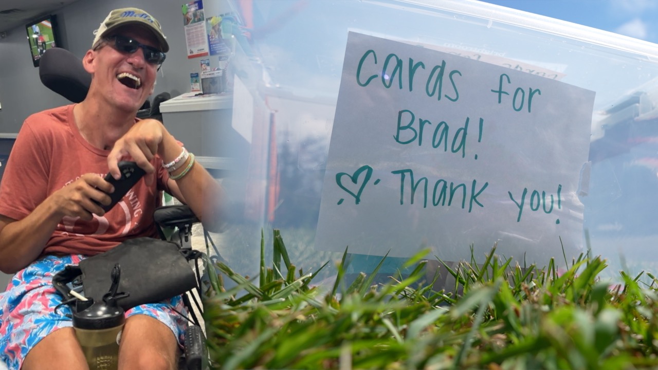 Brad