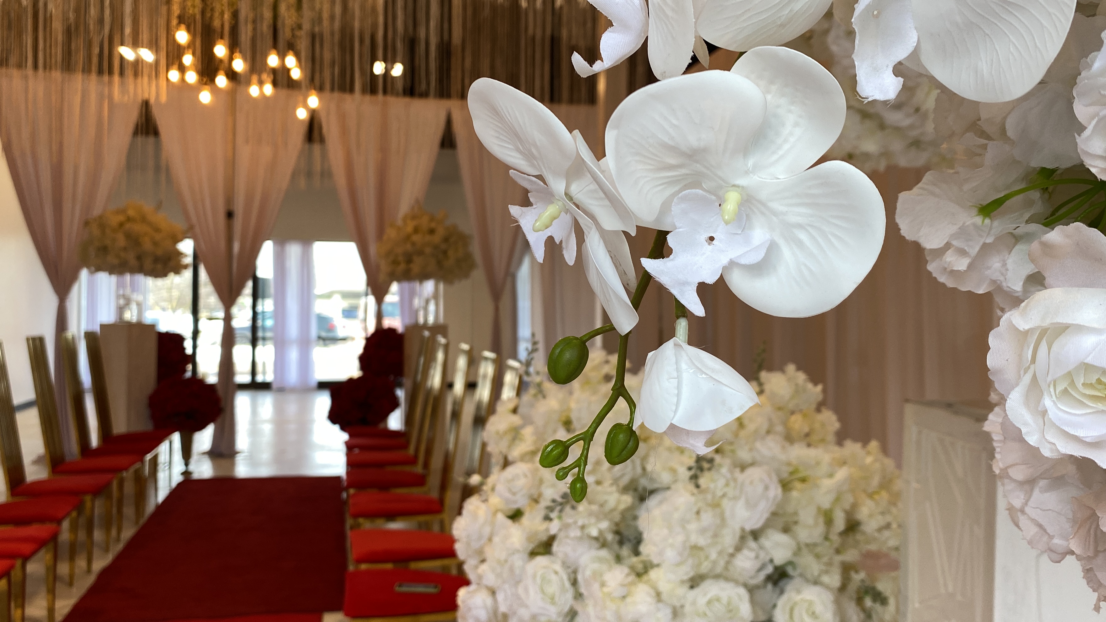 VDay $50 wedding pic 1.JPG