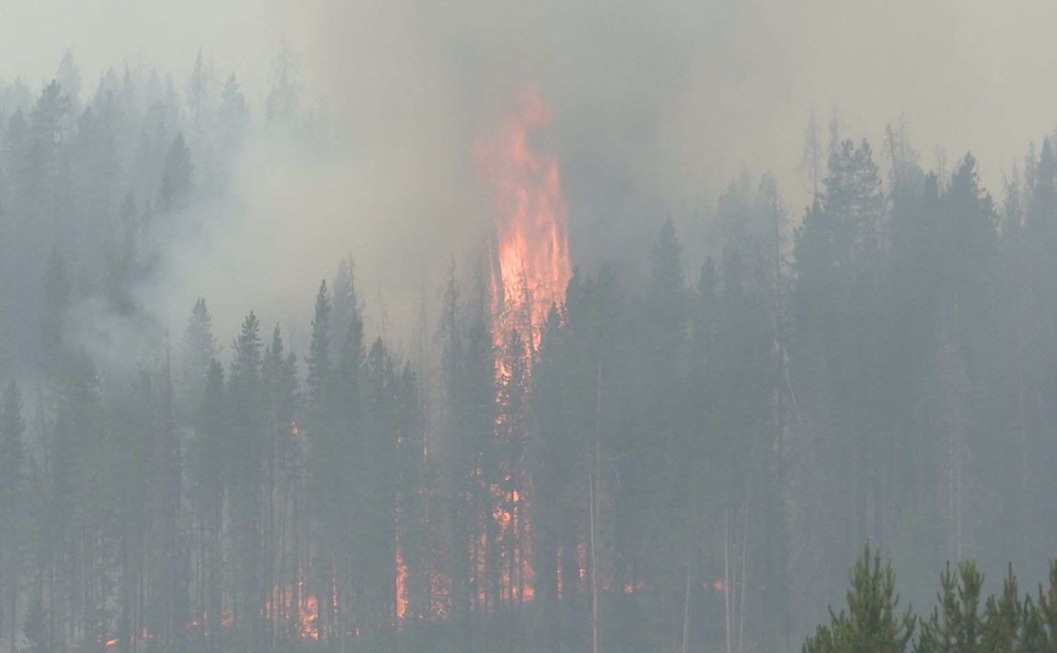 Wildfires near Wise River and Wisdom continue to grow - Vimarsana News
