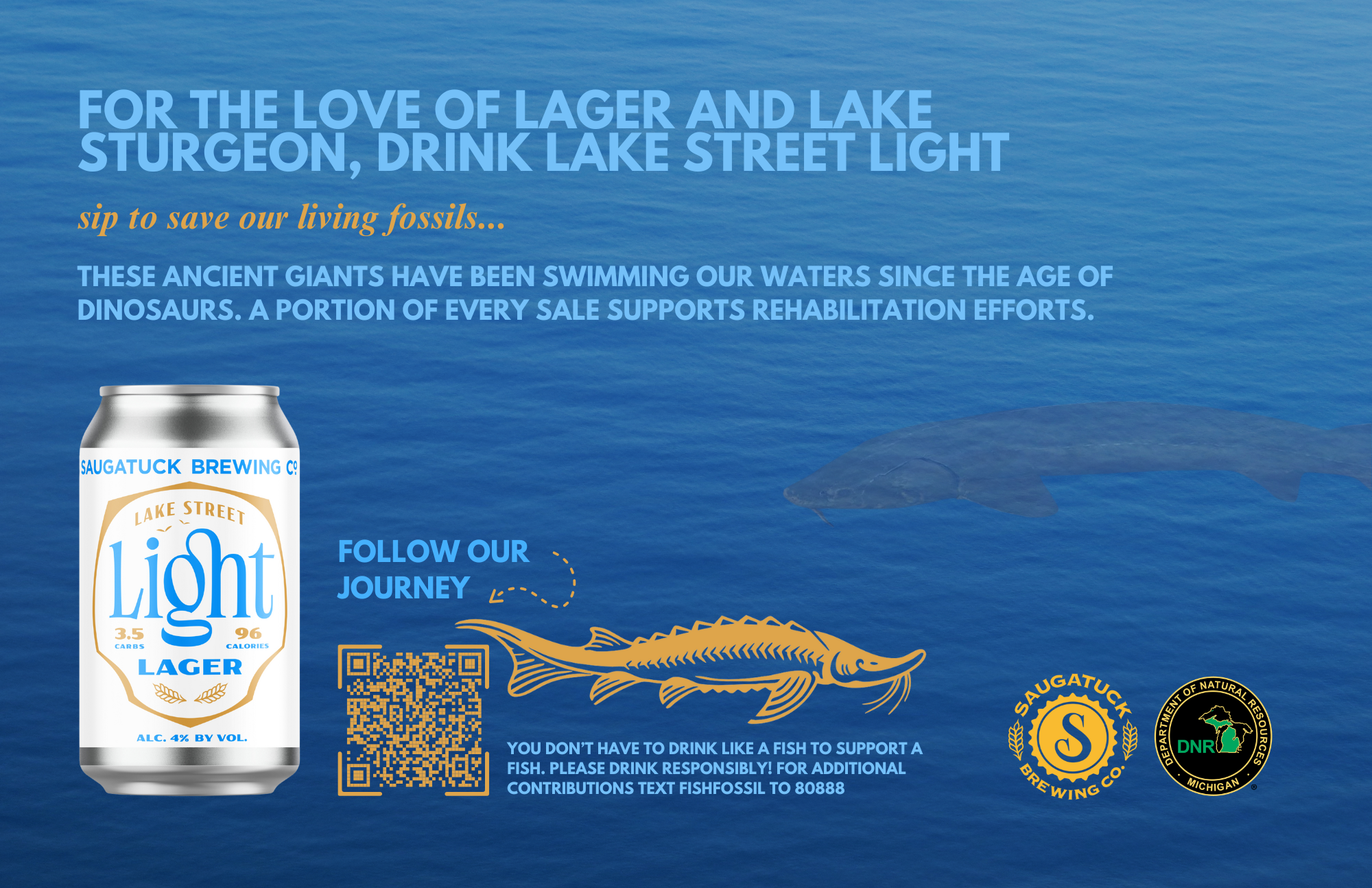 Lake Street Light (2).png