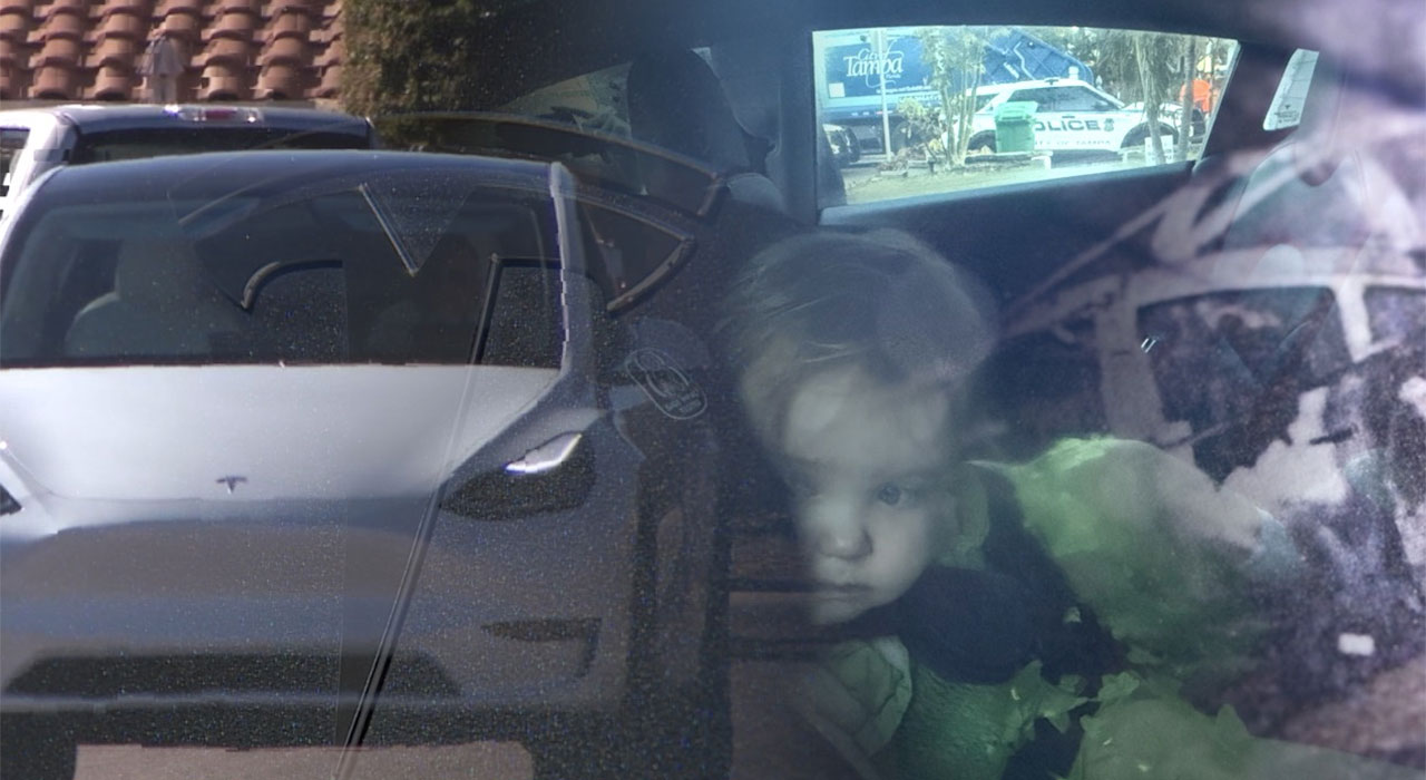 Electric car door failures 