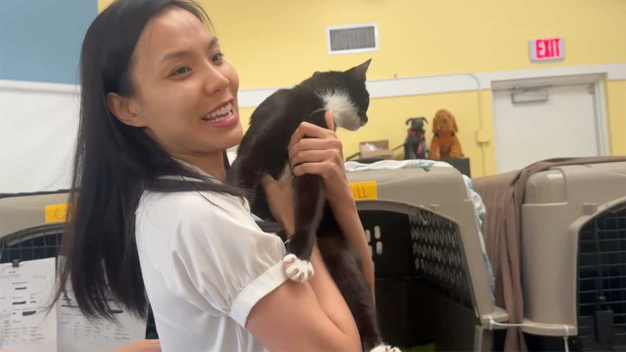Linh Nguyen, who had been searching for her cat Patchy since January, was reunited with her pet on July 22, 2026.