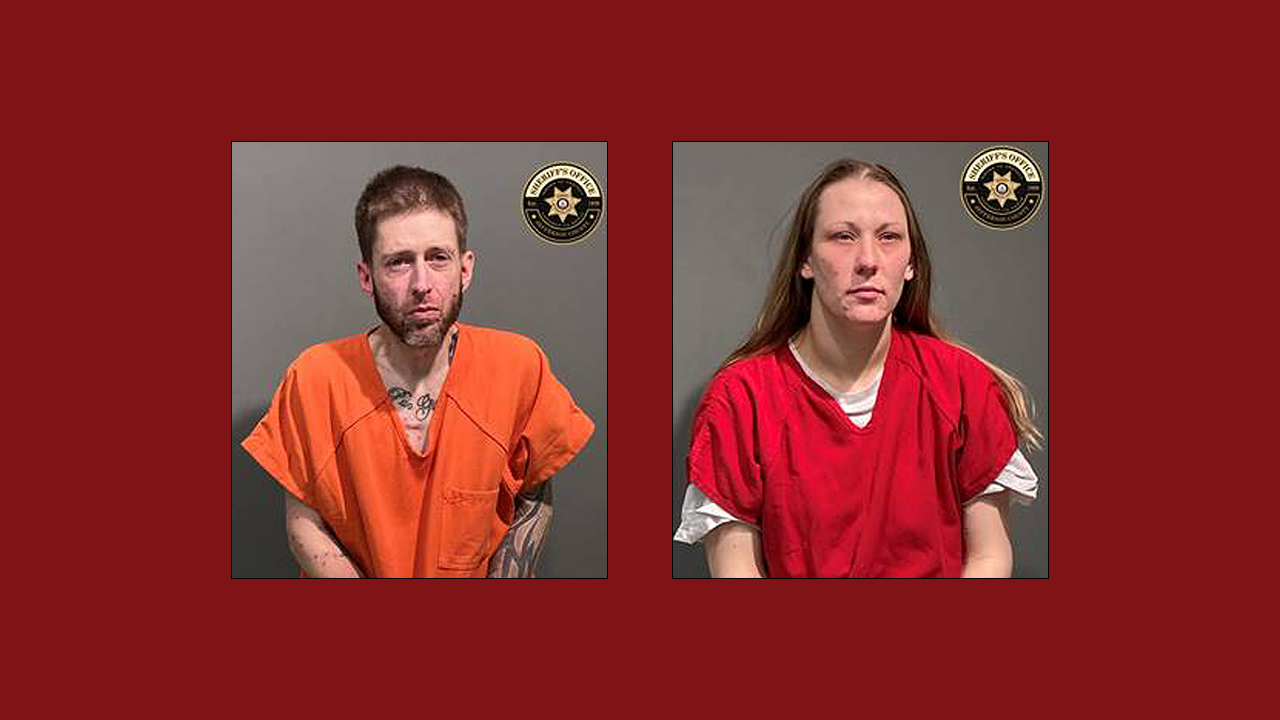 child abuse arrests.png
