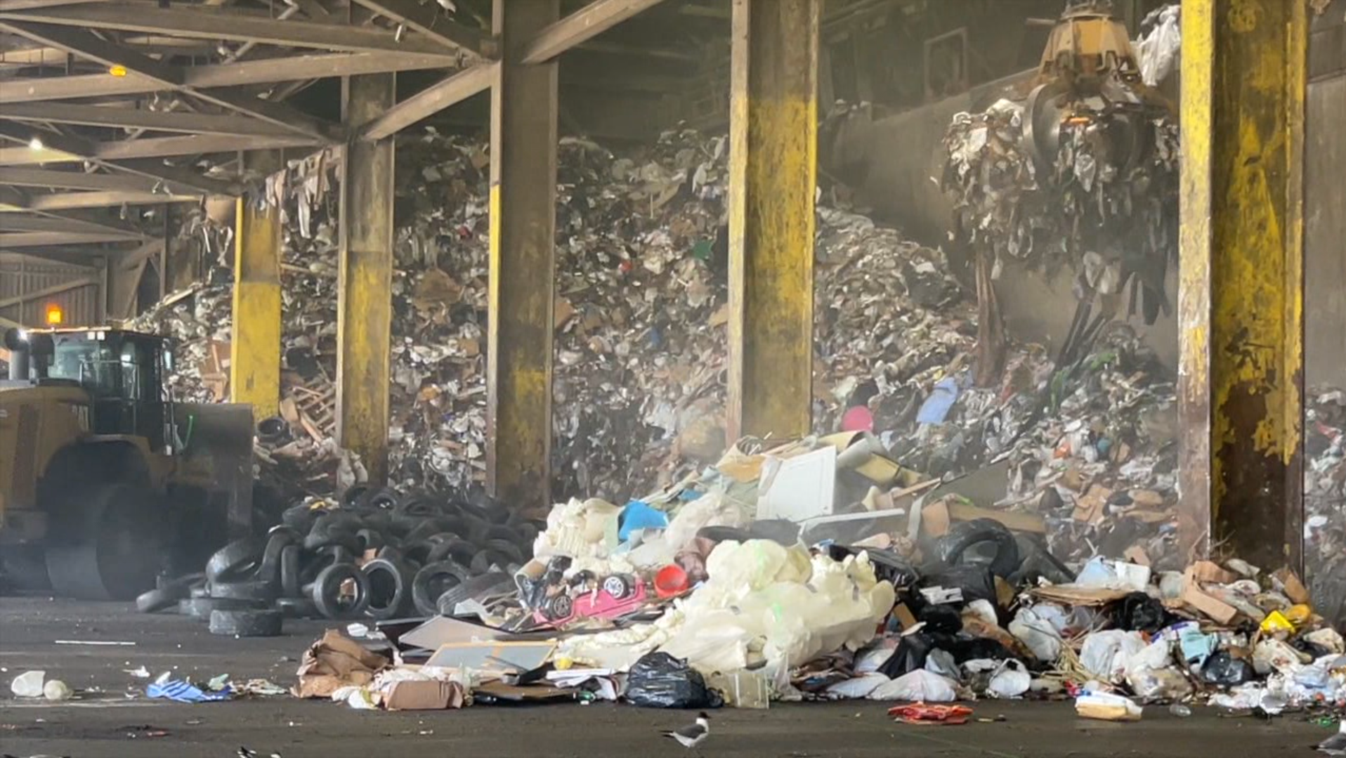 pinellas county trash