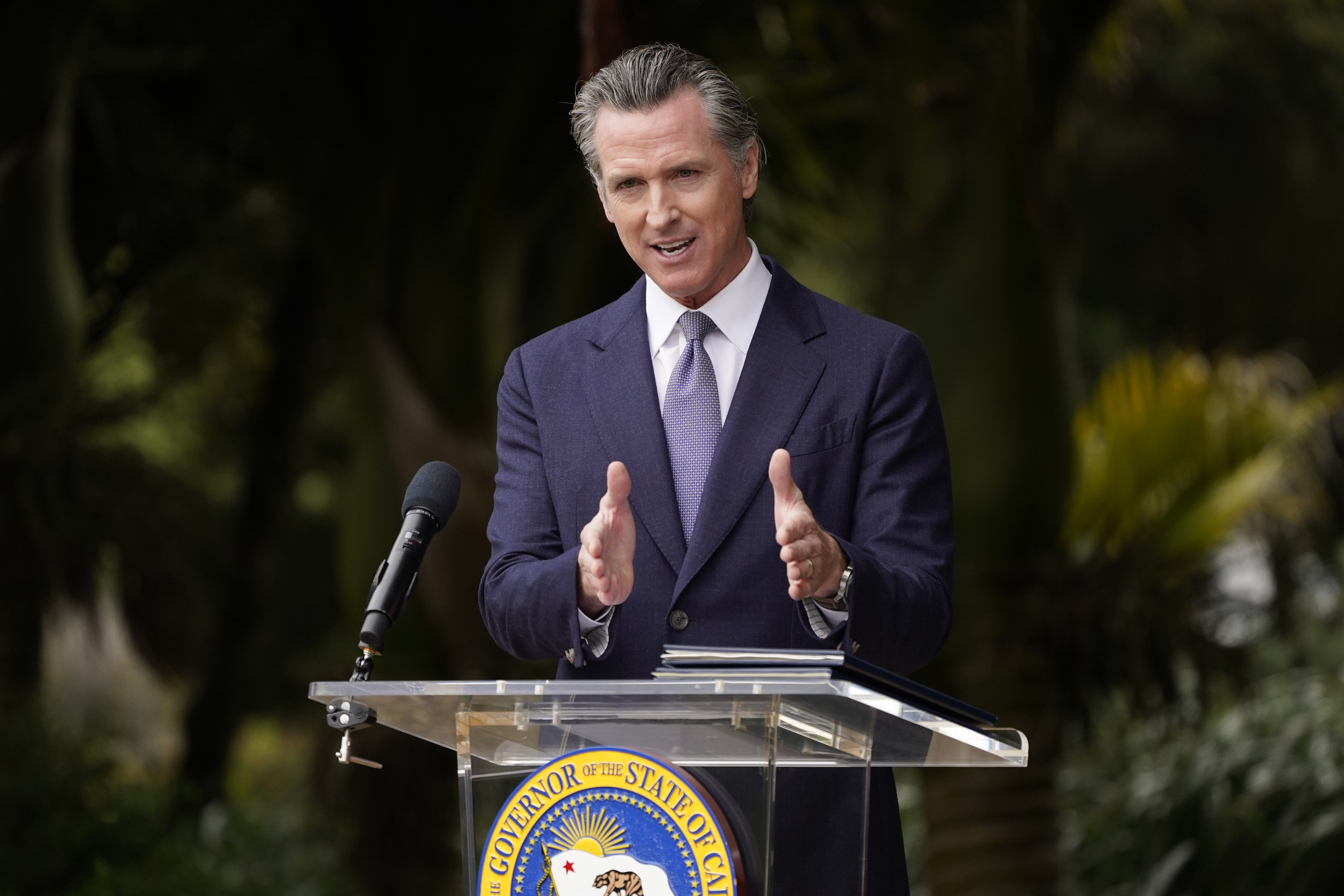 Gavin Newsom