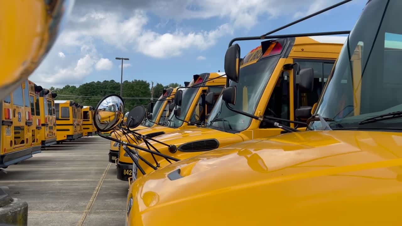 School buses 