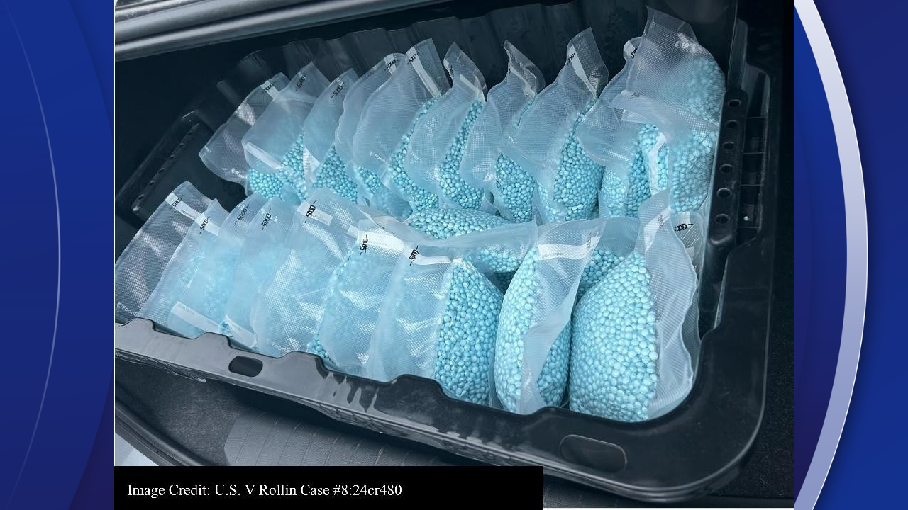 Canadian man extradited, accused of sending synthetic opioids to Tampa: DOJ