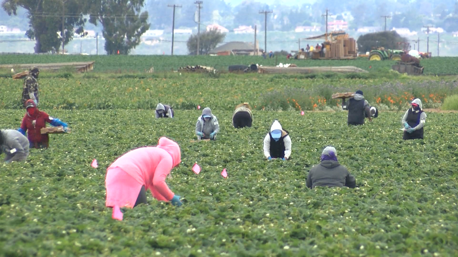 4.17.20 FARM WORKERS VO.00_00_22_17.Still001.jpg
