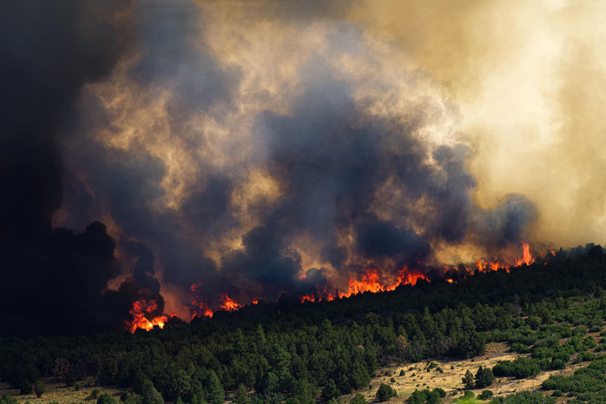 The Bucktail Fire burns in Montrose County on Aug. 1, 2024. 