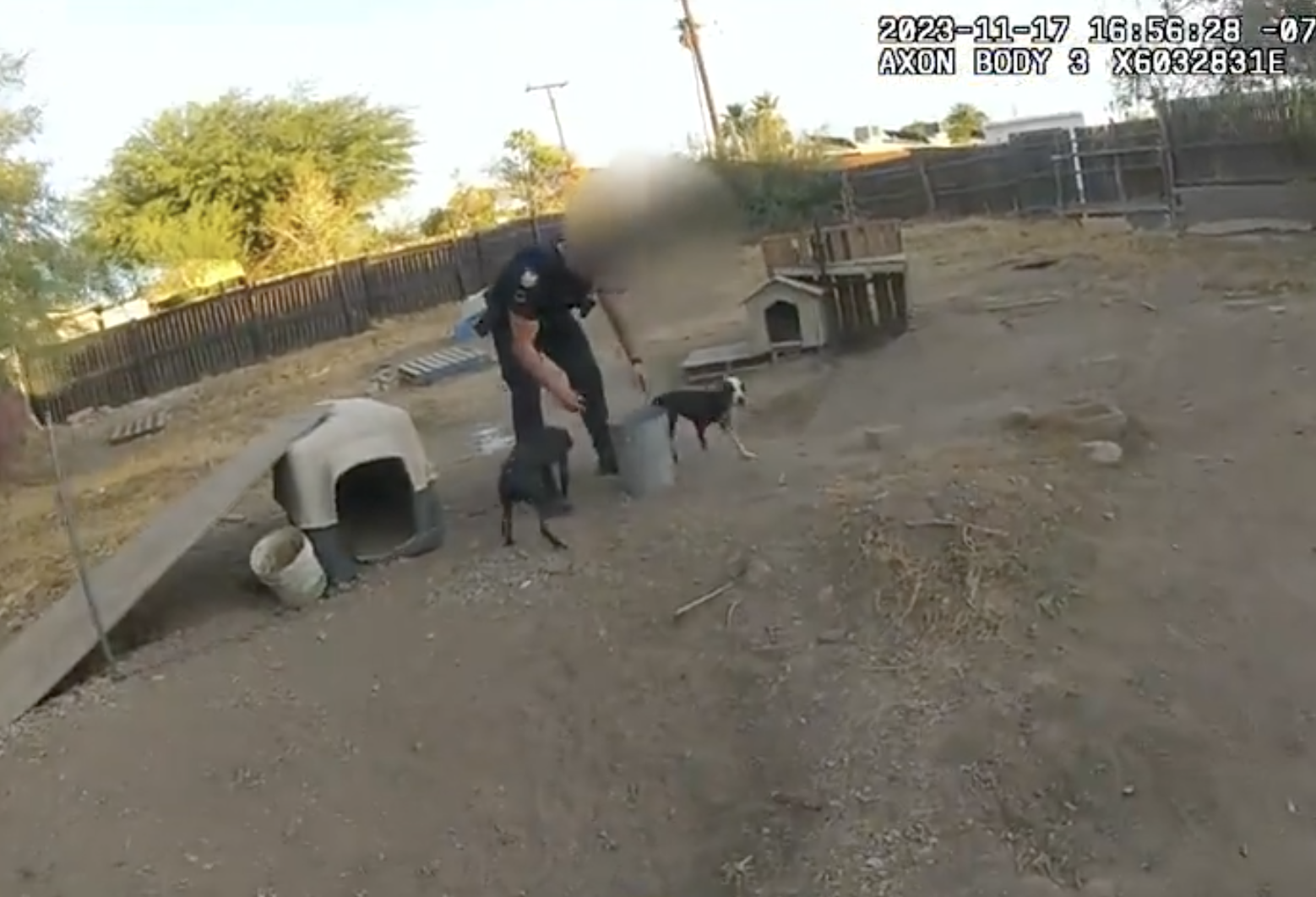 Phoenix animal cruelty 