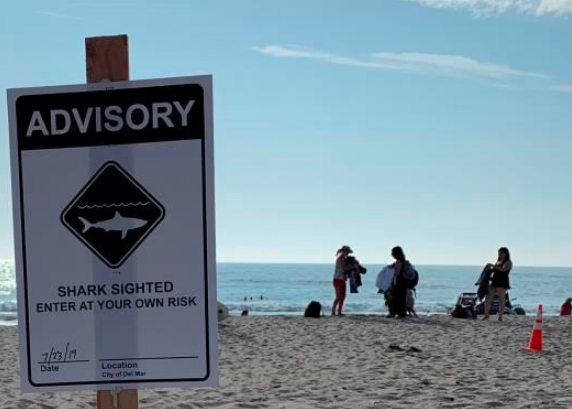 Shark advisory