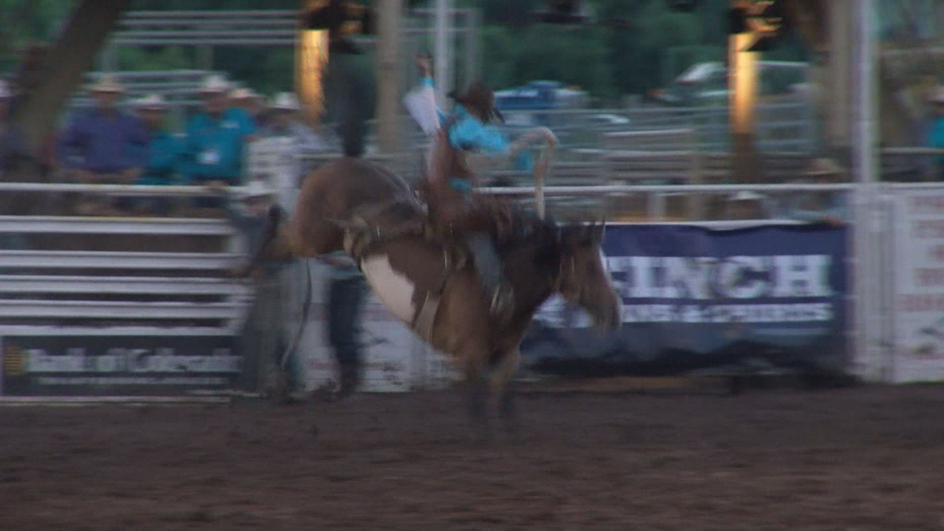 PPOB Rodeo
