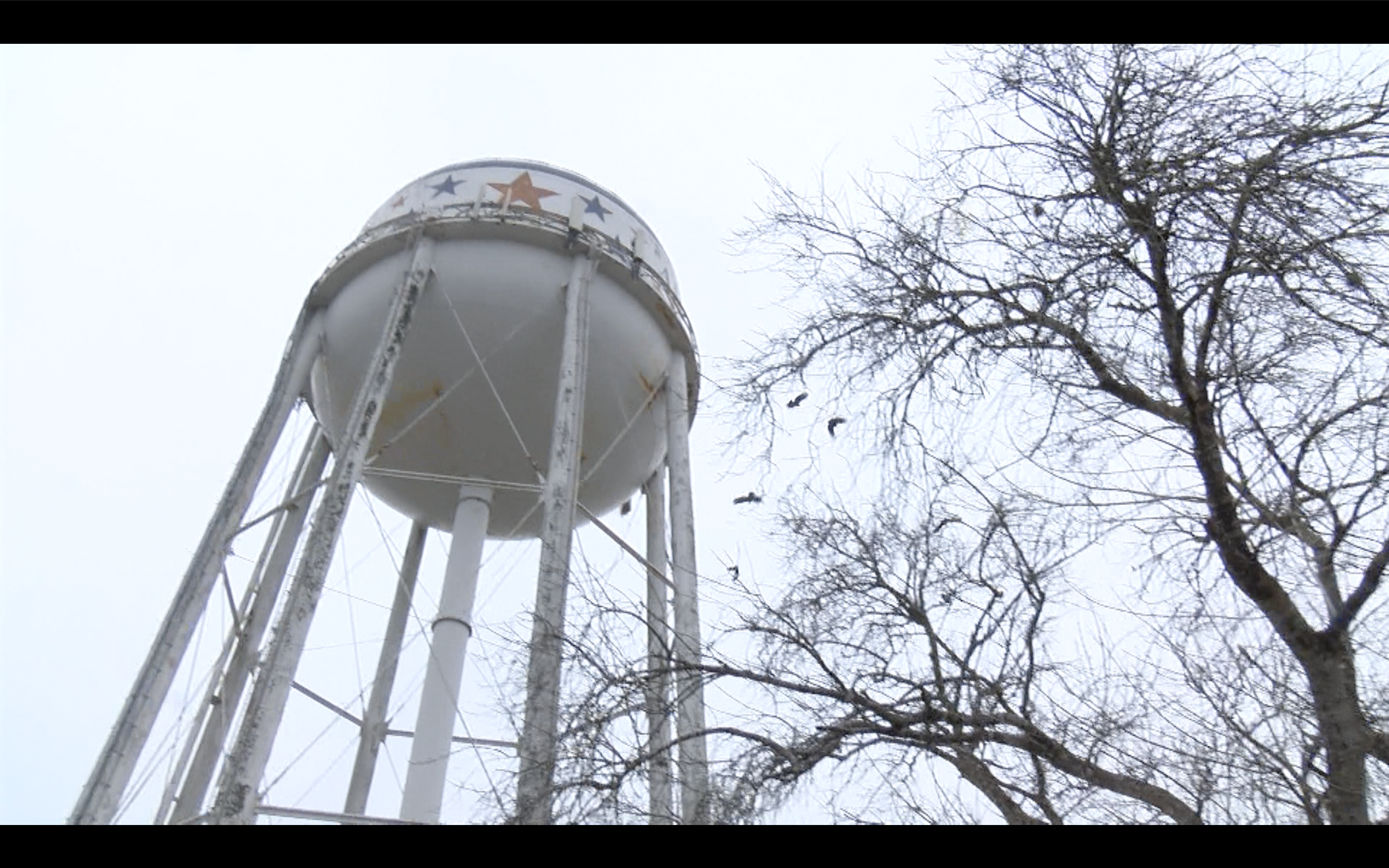 Alice using pyrotechnics to shoo vultures from water tower - Vimarsana News