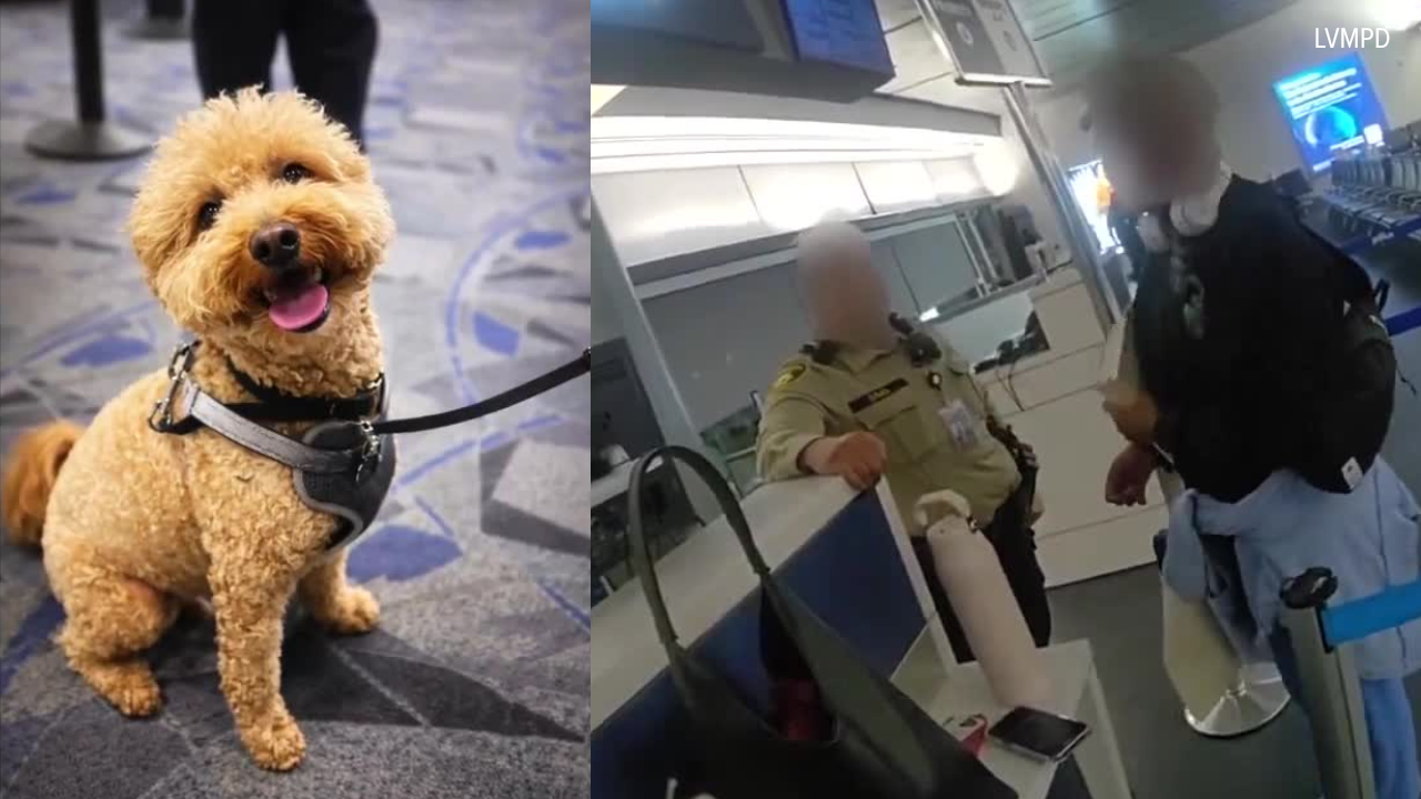 Woman tried to board flight after leaving her dog at the ticket counter, LVMPD says
