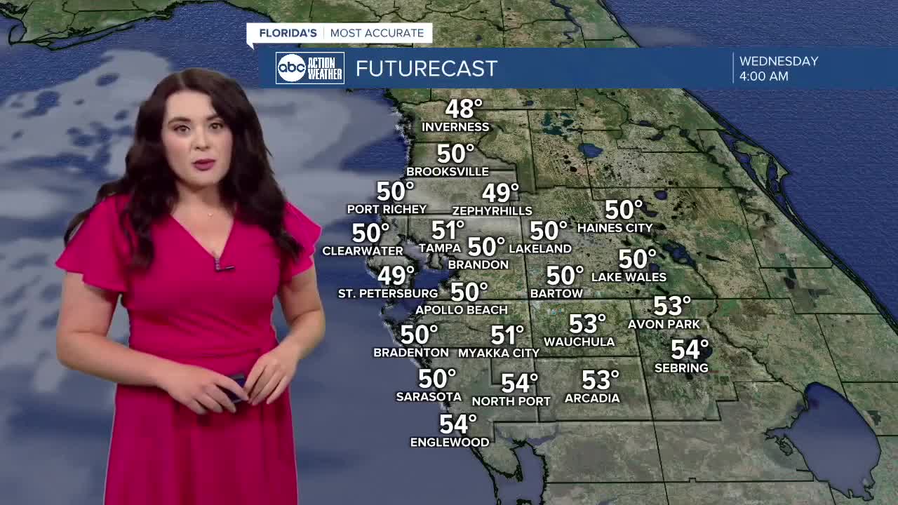 Ally forecast 1/29/2025