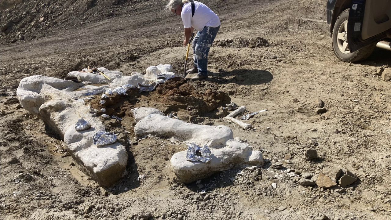 Dinosaur find near Jordan will provide research opportunities