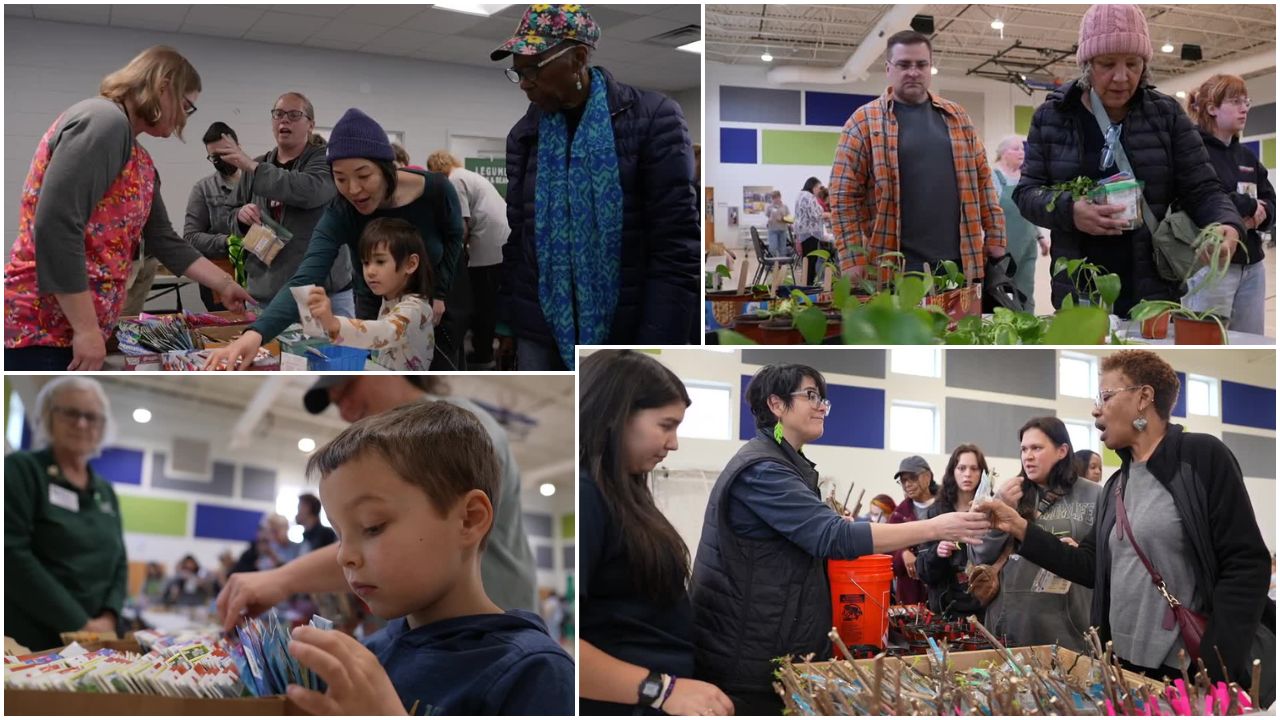 Chesterfield master gardeners host 3rd annual free seed swap