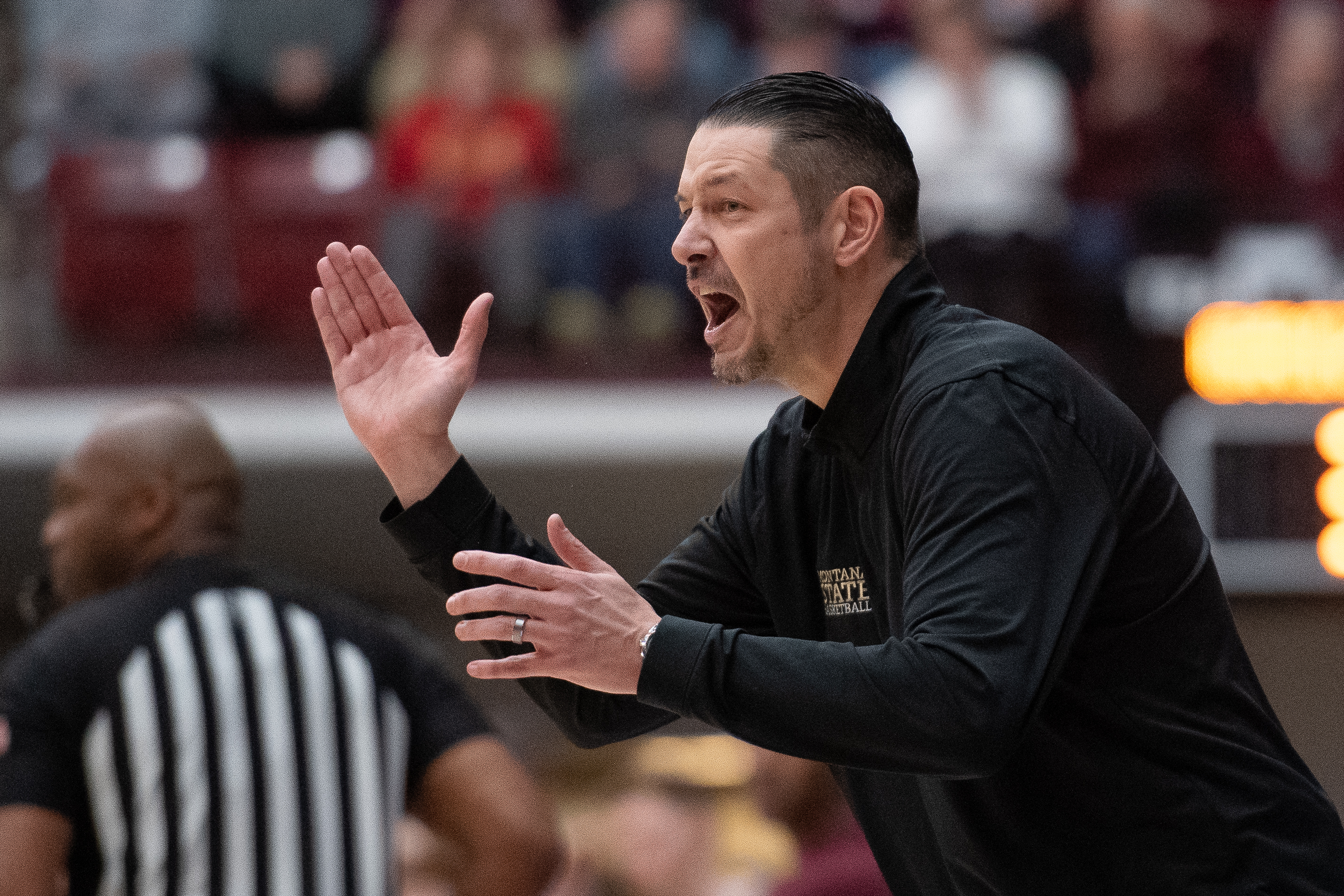 Montana State at Montana men's basketball
