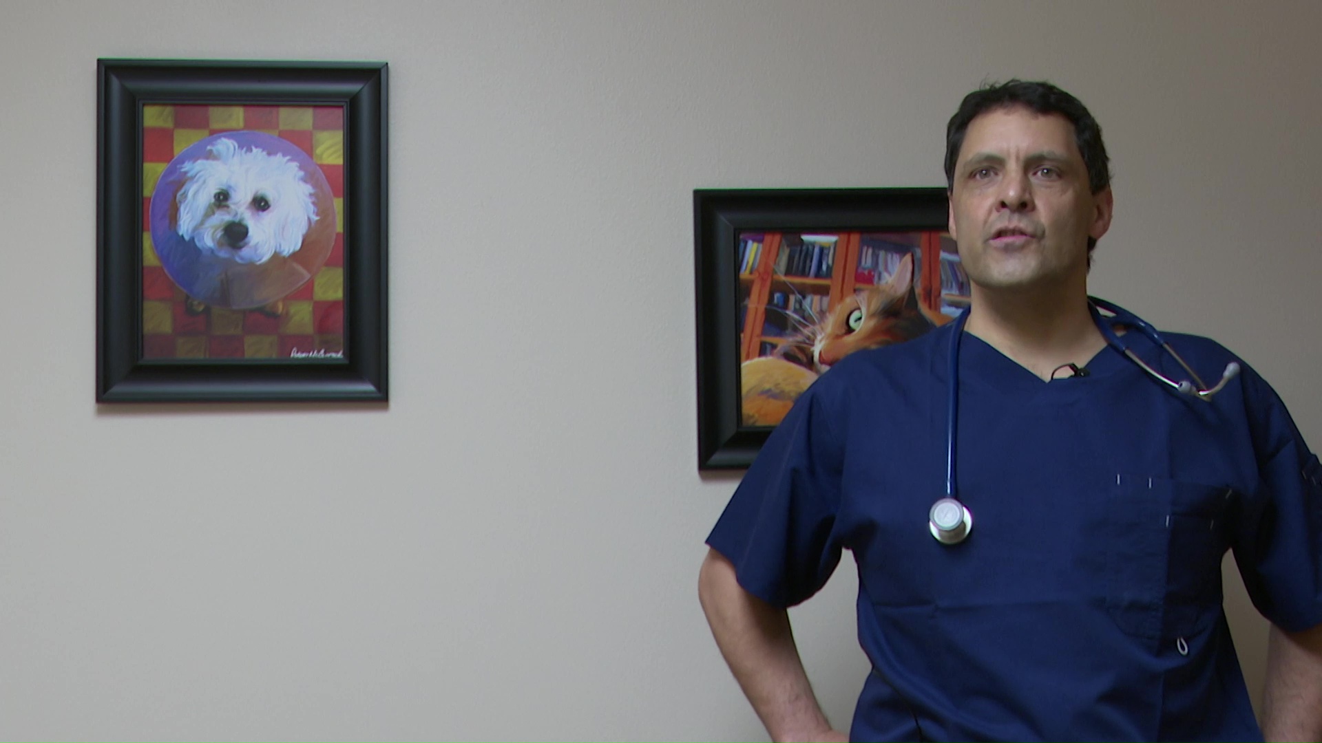 Dr. Mike Norton of Best Friends Animal Hospital in Great Falls